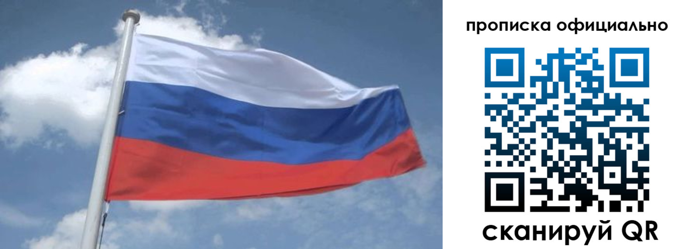прописка для школы в Химках